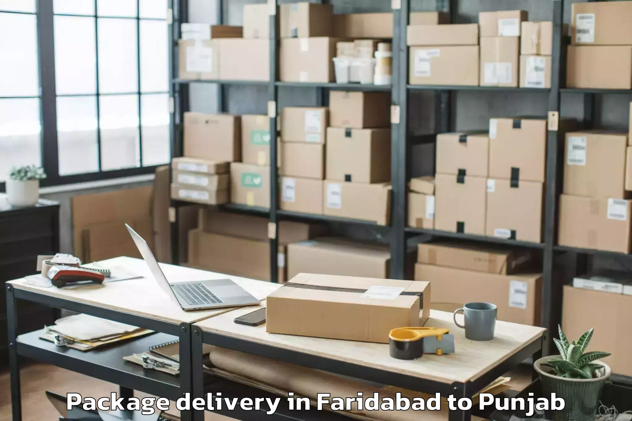 Reliable Faridabad to Mohali Package Delivery